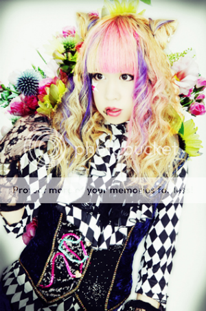 User Image